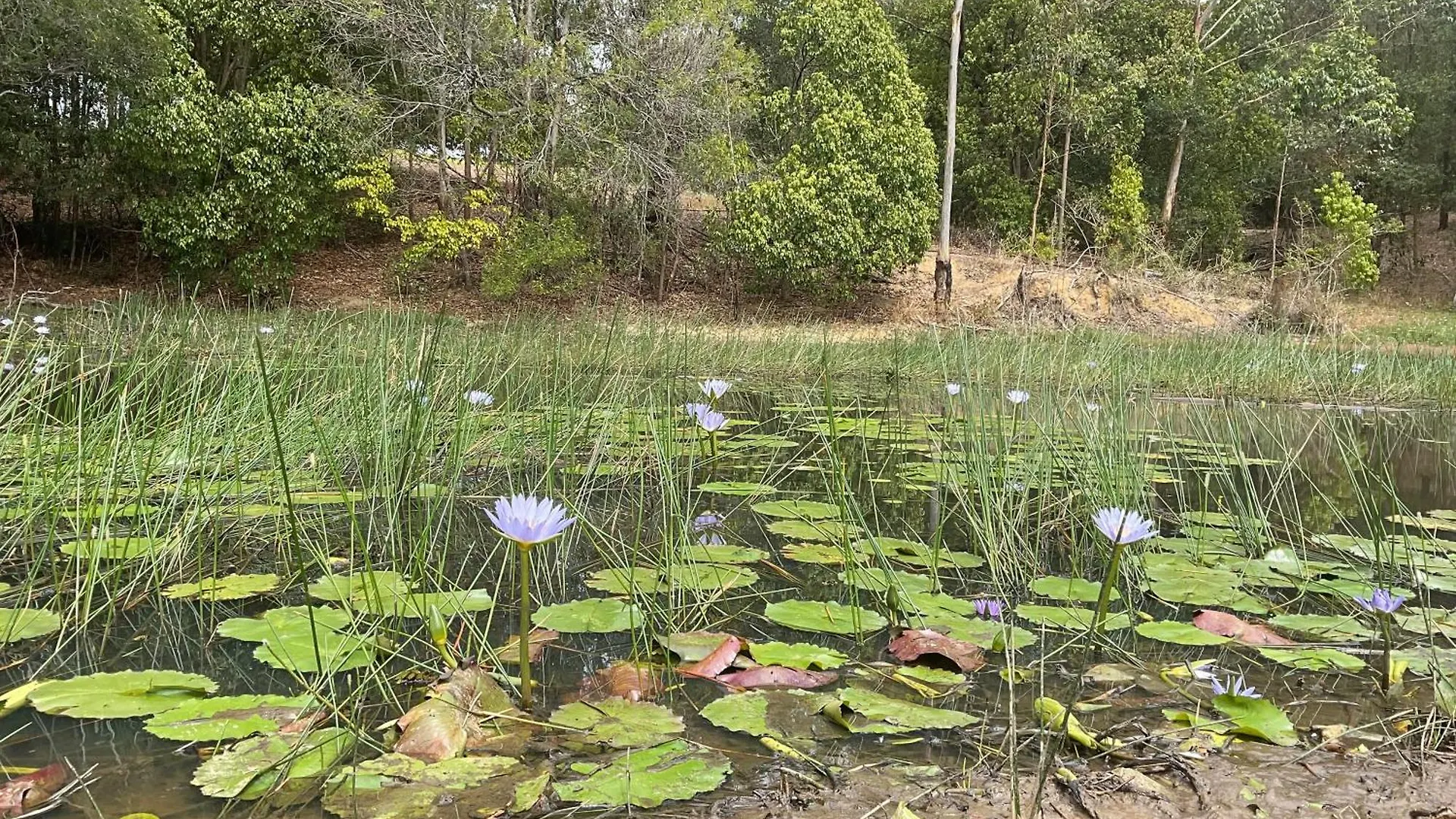 Farm stay Noosa Pomona Retreat Villa Sunshine Coast